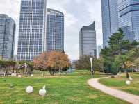 煙台濱海廣場觀賞秋天的大海。