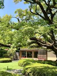 松風幽徑——福岡松風園的寧靜之旅