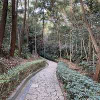 🌳 Longcheng Park 🌳