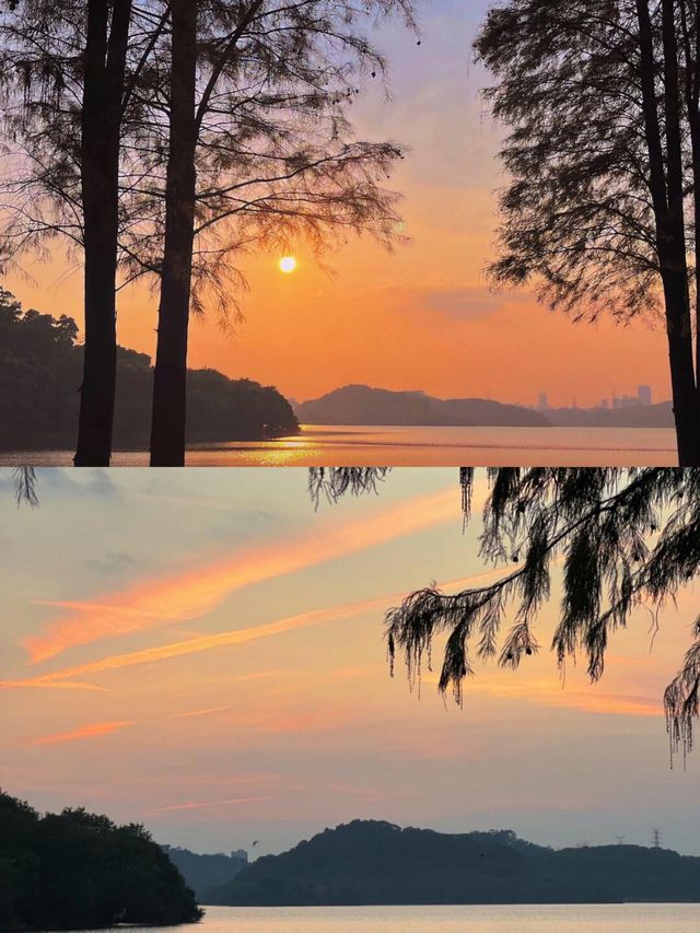 就在東莞平替版洱海趕緊收藏出發。