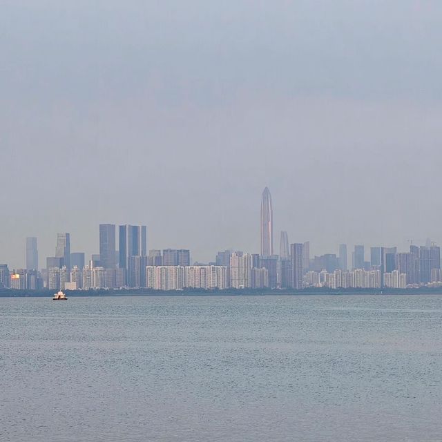 趣遊深圳灣，邂逅自然之美。