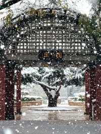 大連初雪絕美 勞動公園張張封神！