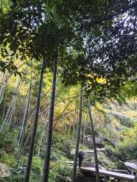 《神龍潭瀑布：探秘自然奇境，暢享山水逸趣之旅》。