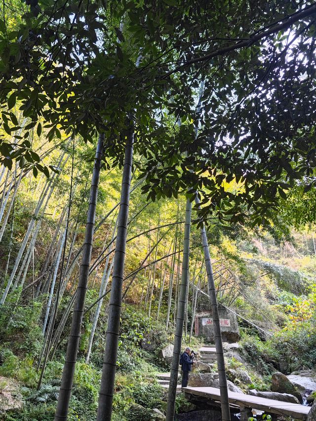 《神龍潭瀑布：探秘自然奇境，暢享山水逸趣之旅》。