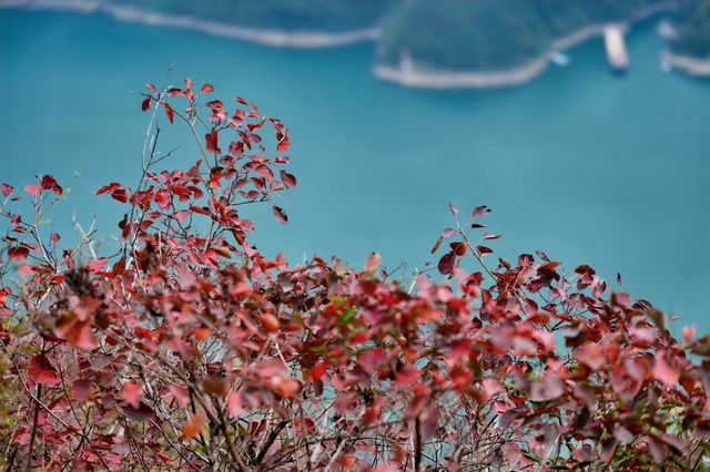 三峽之巔輕鬆拿捏。