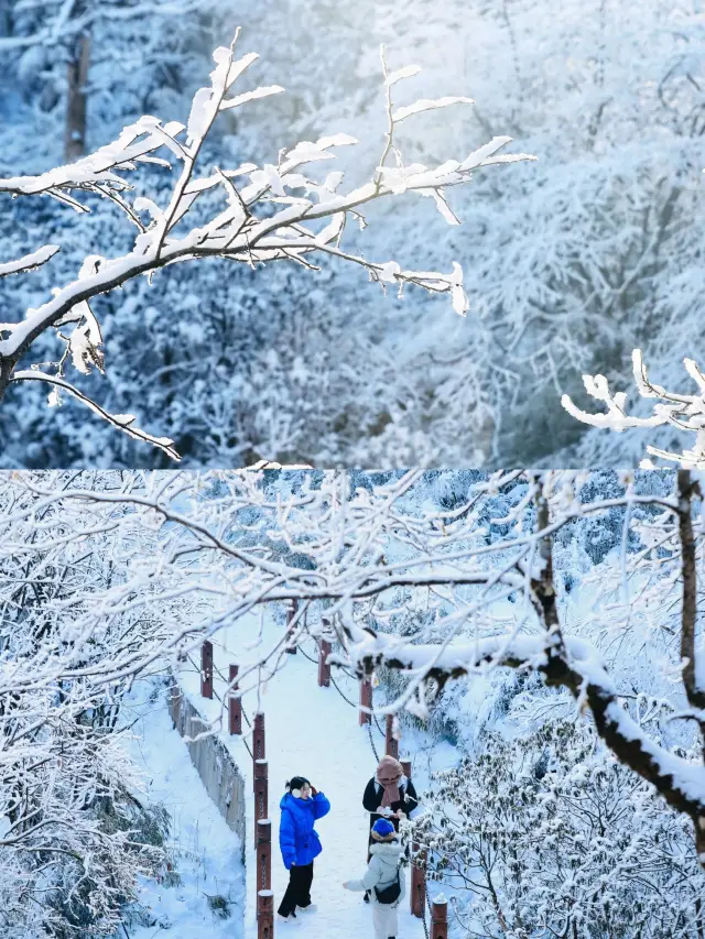 Chengdu 2h | Go to Wawu Mountain to find a Frozen!