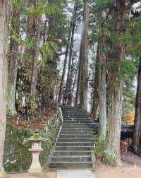 櫻山八幡宮—高山歷史底蘊的象徵