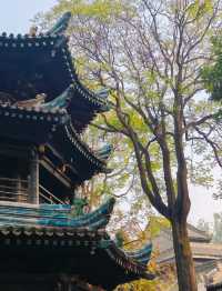 探秘西安化覺巷清真大寺——古韻與信仰的交融