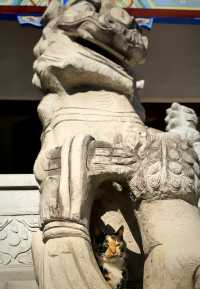一座矗立於江城武漢的皇家寺院，擁有著長達1600年的悠久歷史