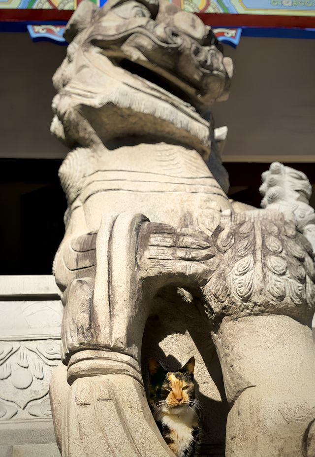 一座矗立於江城武漢的皇家寺院，擁有著長達1600年的悠久歷史