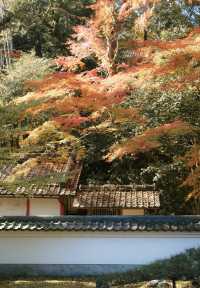 石山寺｜何必去京都看紅葉擠破頭