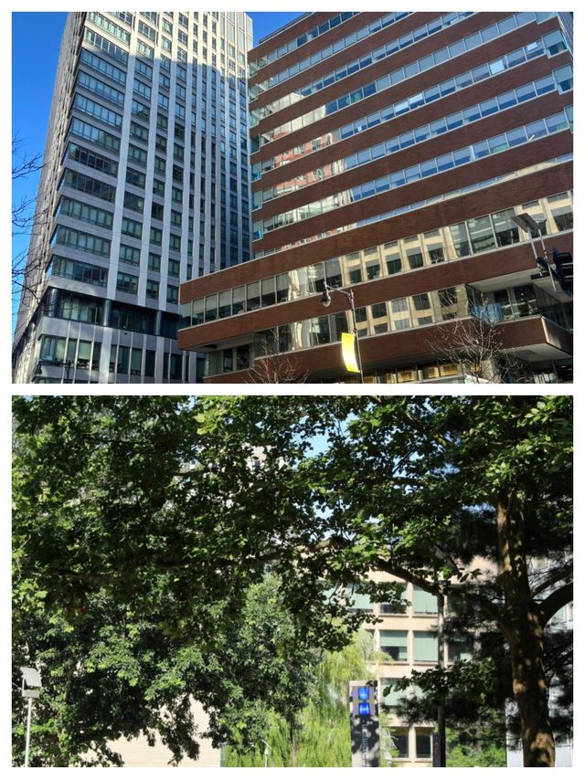 探索學術殿堂 —— 美國劍橋旅遊