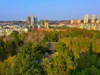 四川唯一通地鐵的五線城市，直達成都