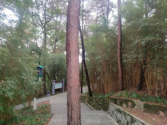 重慶雲水渡橋一日遊