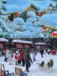 雪鄉十里畫廊，現實版的冰雪奇緣，太美啦！