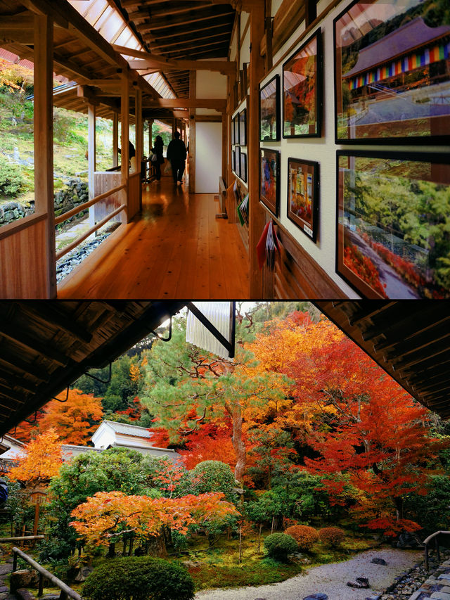 京都·二尊院紅葉的馬場｜體驗和服之美！