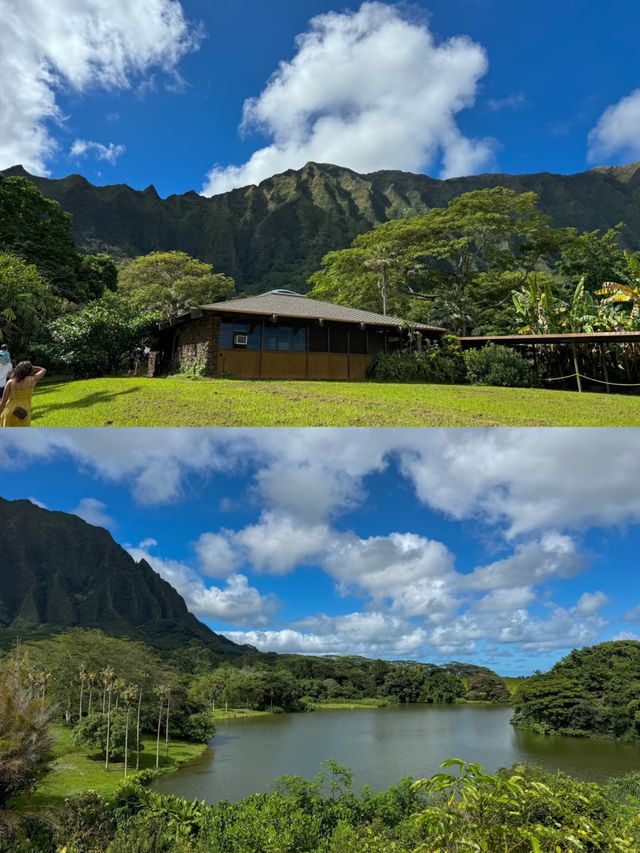 歐胡島植物園，被綠意治癒的一天