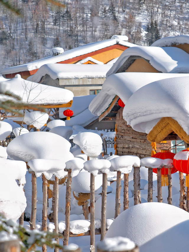 去雪鄉之前冇人同我講，呢度嘅"坑"比雪仲深