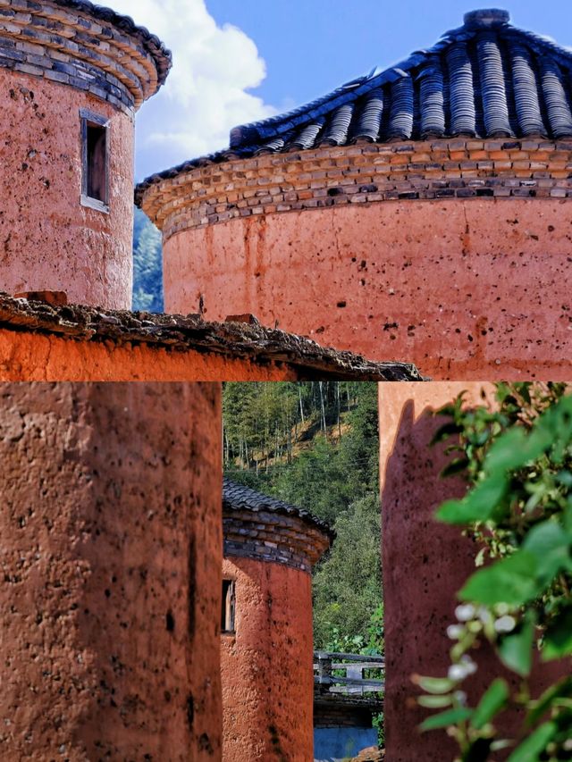 這居然是浙江的土樓差點以為是福建