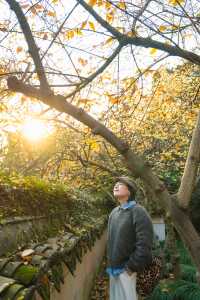 臘梅花開，永遠驚嘆於老祖宗骨子裡的審美！