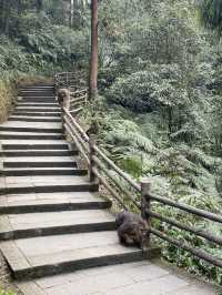 過年要去峨眉山2日遊玩全攻略