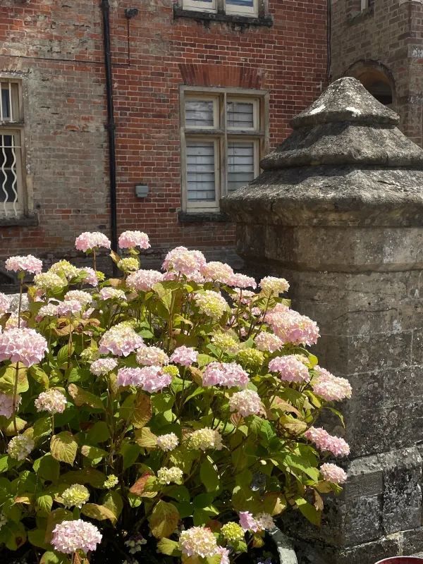 Visiting the Iconic Downton Abbey