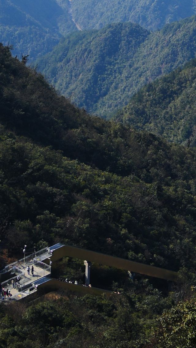 郴州莽山｜可以坐電梯的高山