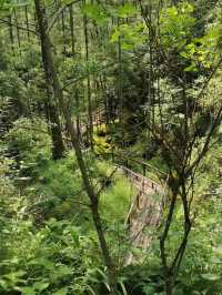 2日白山遊 玩轉美景不踩雷