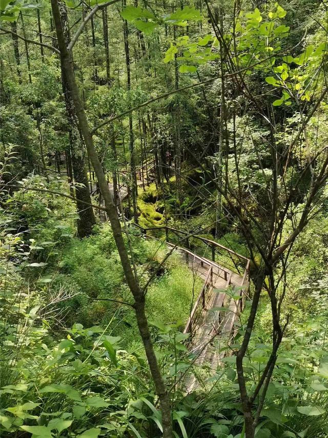 2日白山遊 玩轉美景不踩雷 2日白山遊 玩轉美景不踩雷