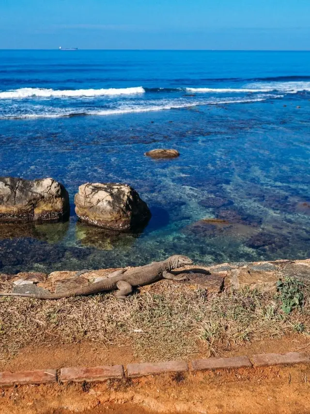 8일 스리랑카 여행 전국을 즐기는 비결이 여기 있습니다