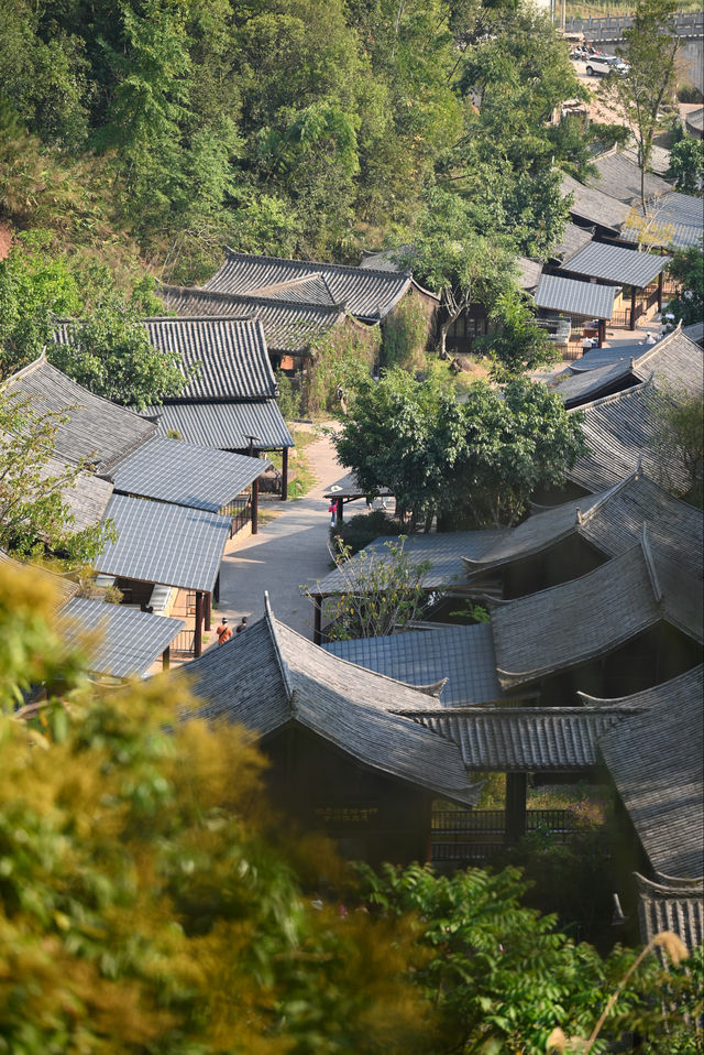 花語·值得等待的愛戀｜以茶聞名·普洱市