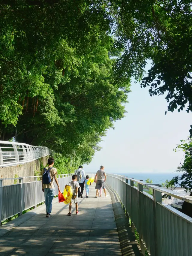 深圳最美海濱棧道|小梅沙|地鐵直達
