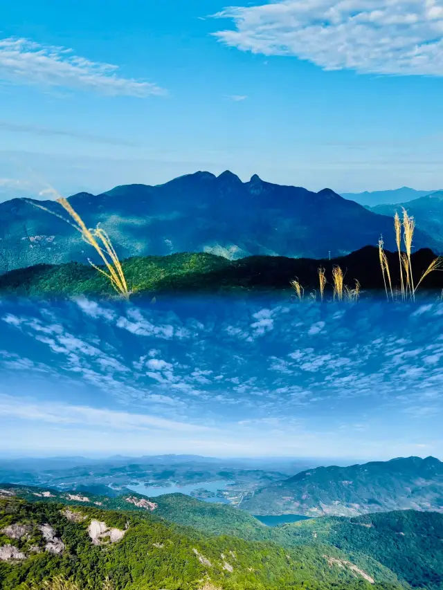 翻山越嶺到五指山 探秘三亞原始森林的神秘力量