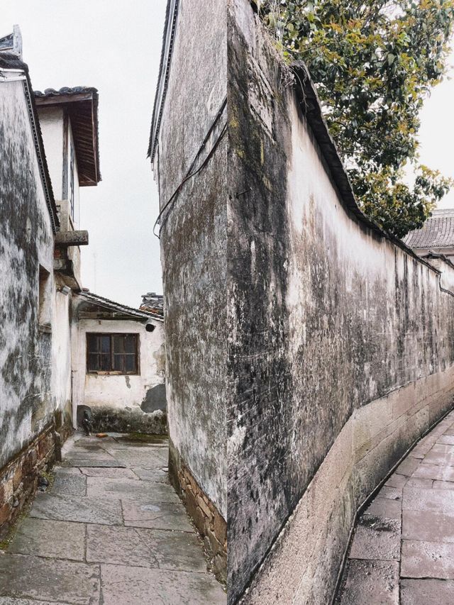 寧波慈溪鳴鶴古鎮：靜謐時光的溫柔邂逅