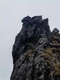 湖北武漢-神農架熊貓基地超詳細遊玩秘笈速覽