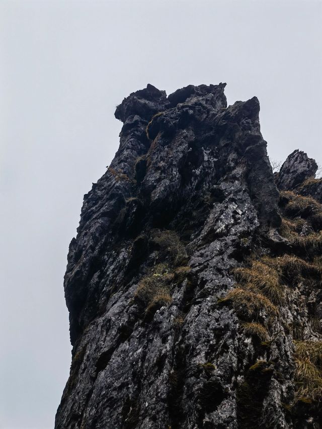 湖北武漢-神農架熊貓基地超詳細遊玩秘笈速覽