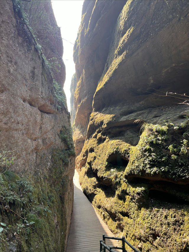 江西龍虎山兩天一夜旅遊攻略