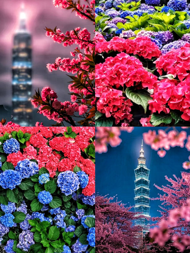 初見台北愛上這個被青山雲海包圍的城市