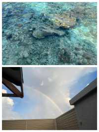 發現寶藏旅行地！呼拉島，你的夢幻避世桃源