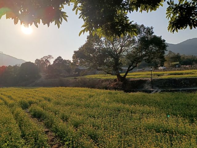 踏春踏青，大地回春，萬物復甦