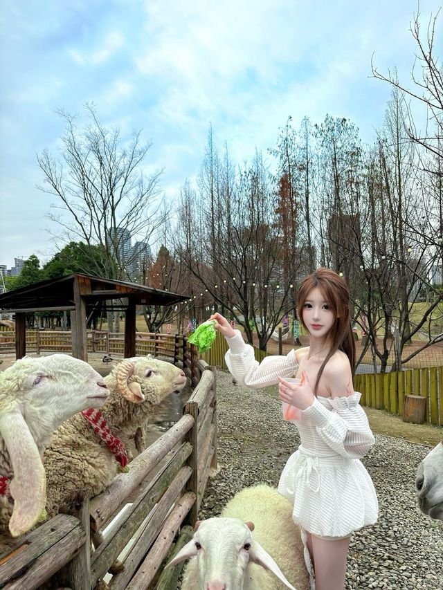 小島動物園