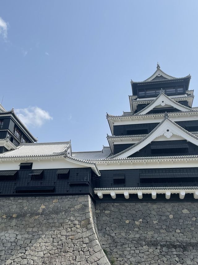 日本深林探秘 邂逅自然的呼吸