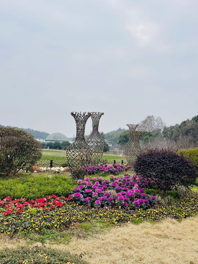 長沙 | 湖南省植物園賞花指南