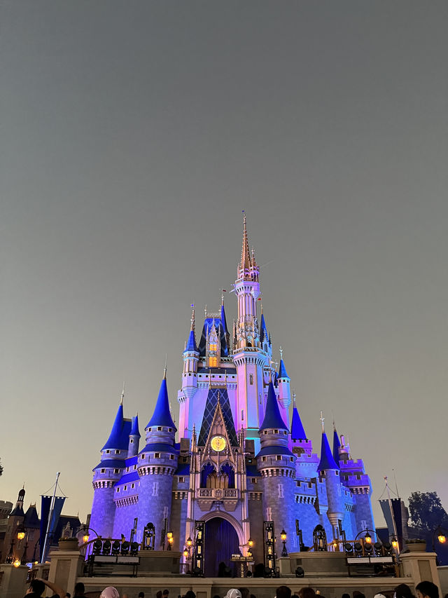 Orlando New Year Disney + Universal Four-Day Five-Park Adventure (Part 2)