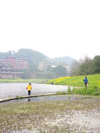 樂山濠上大橋 · 闖進春日油菜花秘境