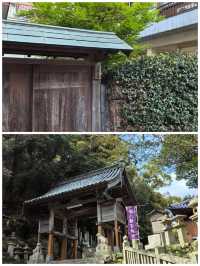 日本對馬市：神秘的海上秘境，一趟別樣的日本之旅