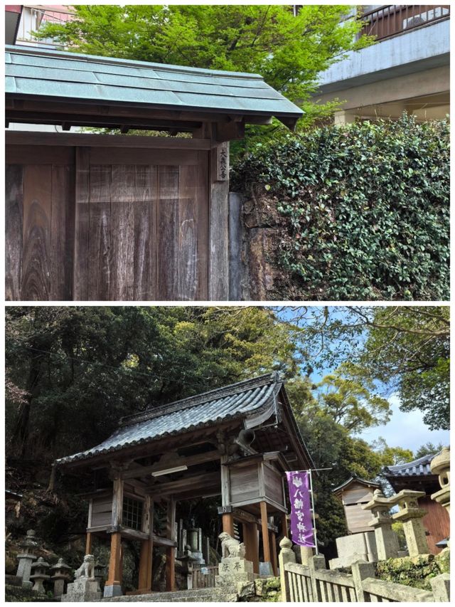 日本對馬市：神秘的海上秘境，一趟別樣的日本之旅