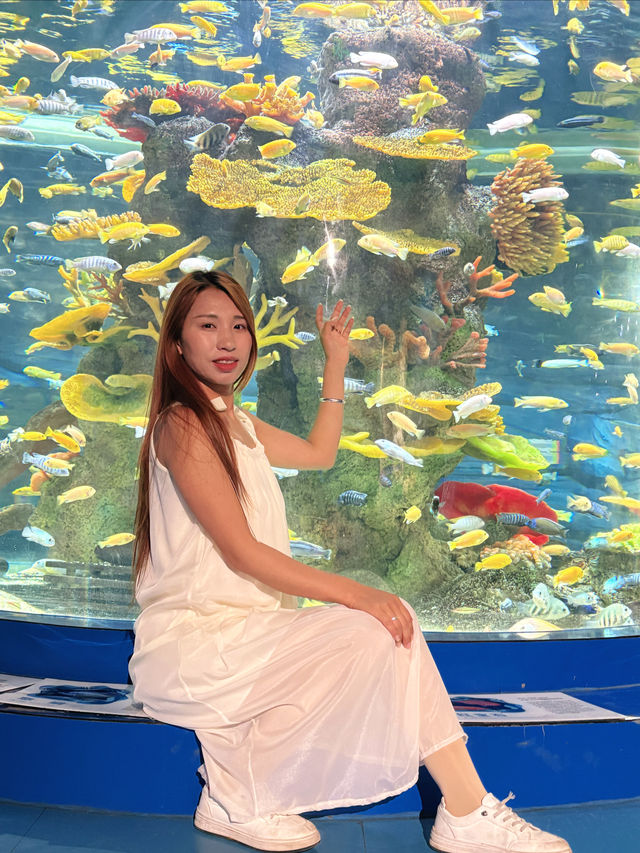 女神節海趣花都海洋世界