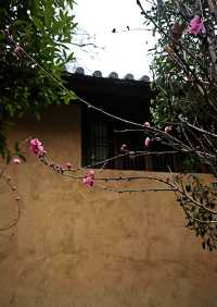 一方庭院，滿載悠閒時光