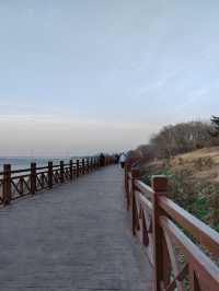 魚嘴濕地公園：邂逅江邊的自然秘境